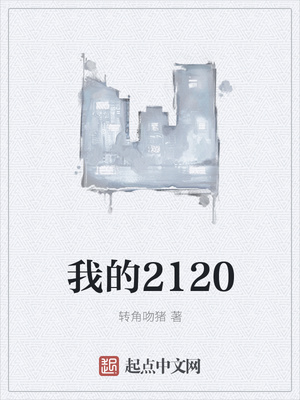 我的2120